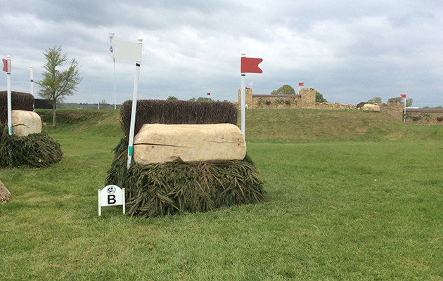 Badminton Fences 2017