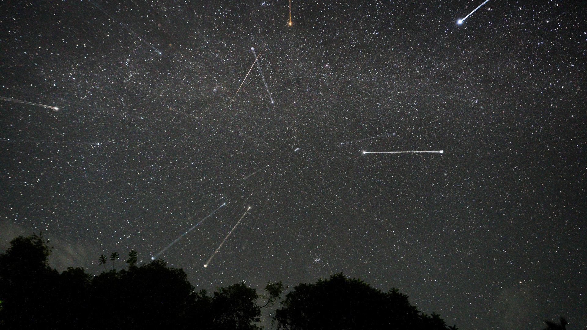 See The Geminid Meteor Shower 2023 Light Up The Sky In These Amazing 