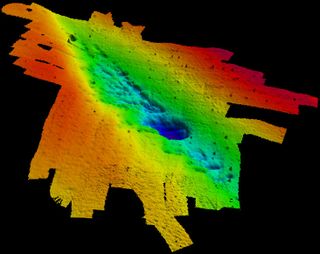 alabama underwater forest sonar map