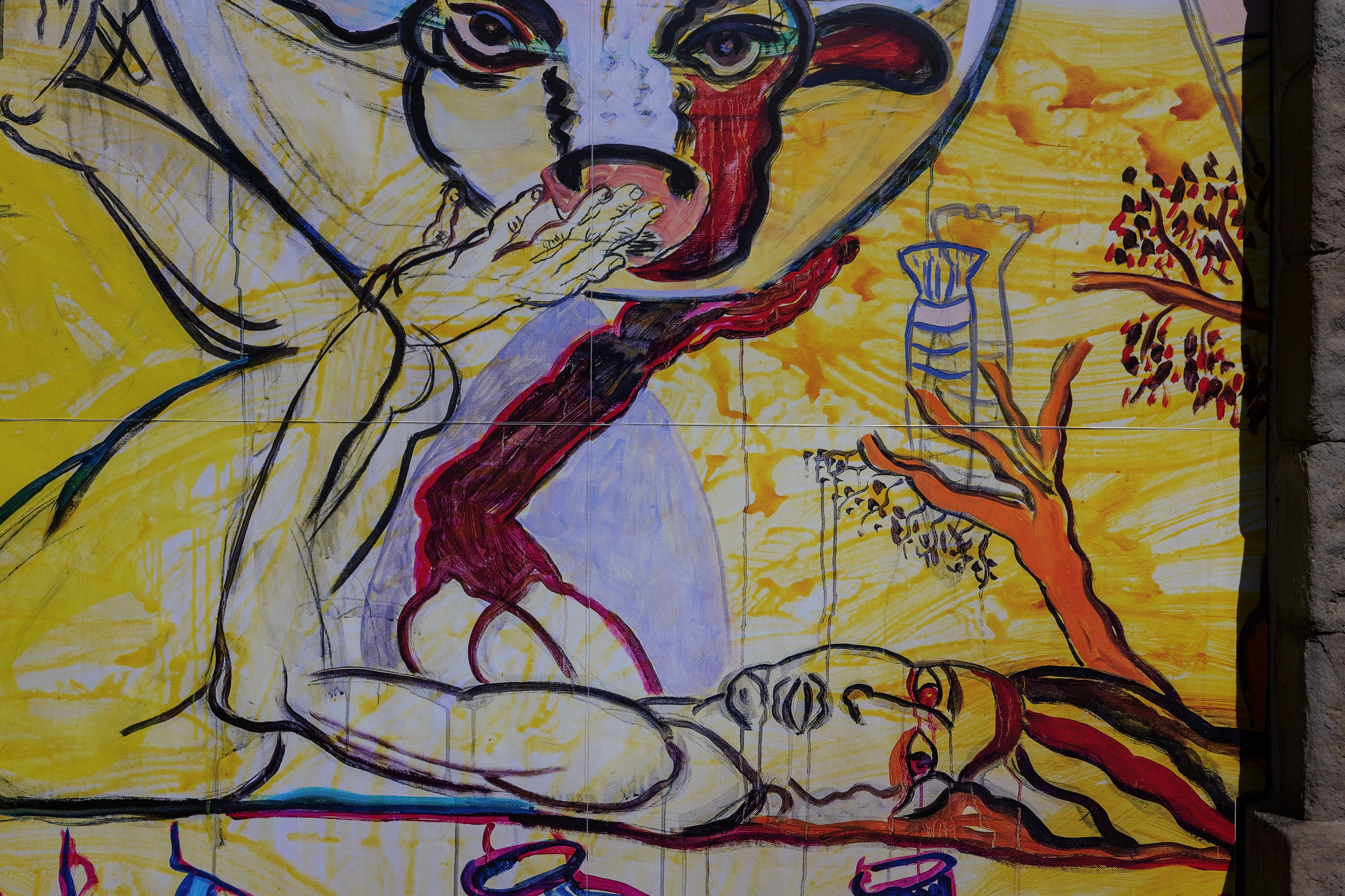 Panasonic Lumix S 18-40mm f/4.5-6.3 sample image