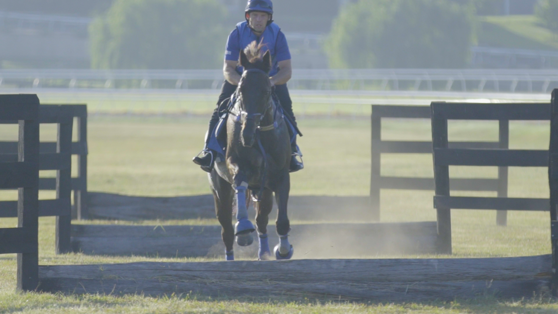 051618_Jumping-Racehorses_BDV1_1920_20.png