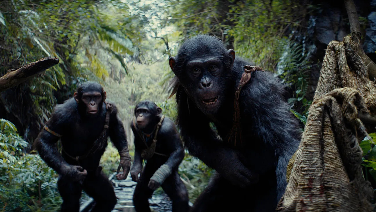 Three apes walk along a wooden bridge in Kingdom of the Planet of the Apes