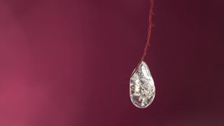 A macro photo of ice on fall leaves shot with the Sony FE 100mm f/2.8 Macro GM OSS