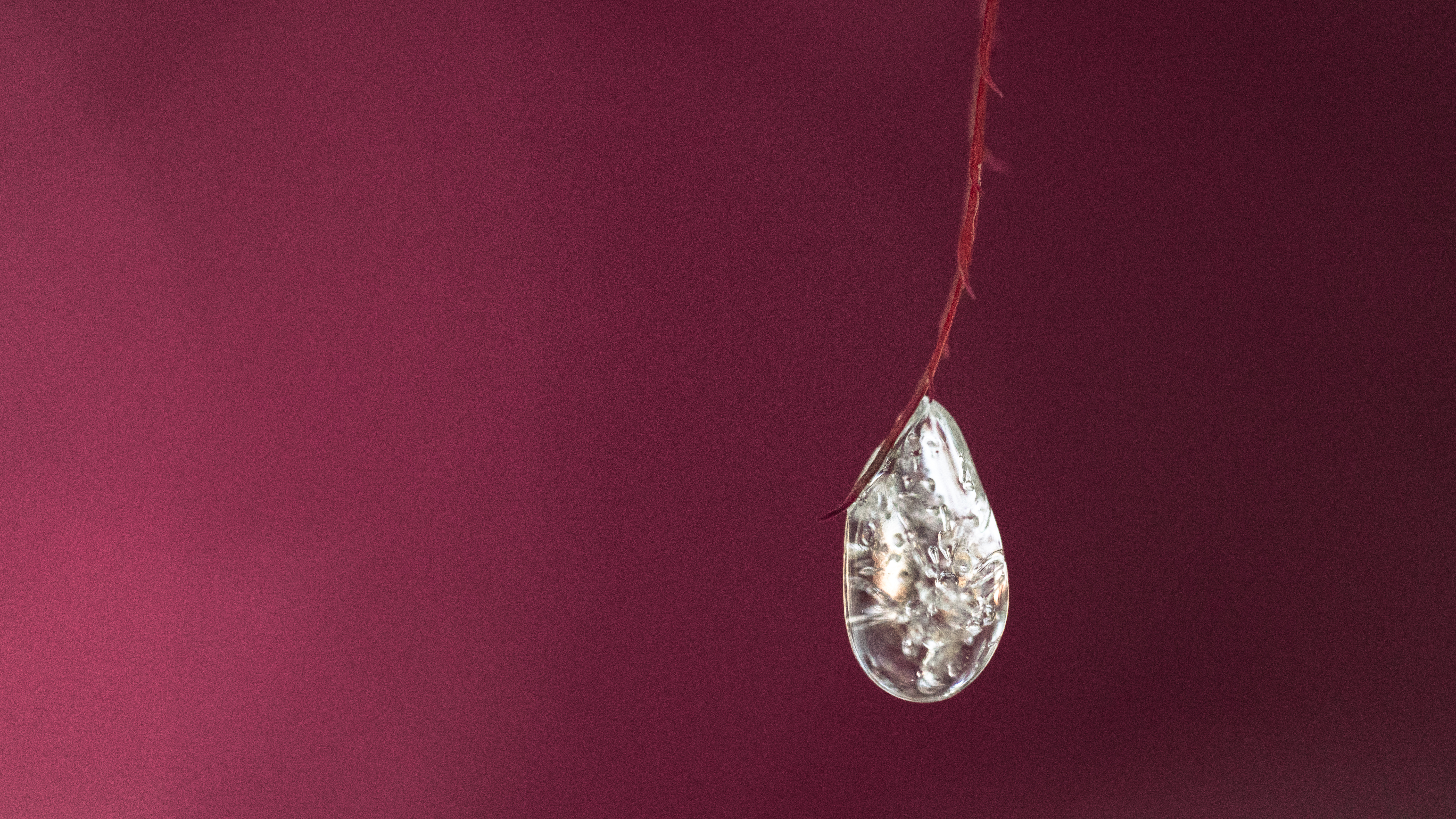 A macro photo of ice on fall leaves shot with the Sony FE 100mm f/2.8 Macro GM OSS