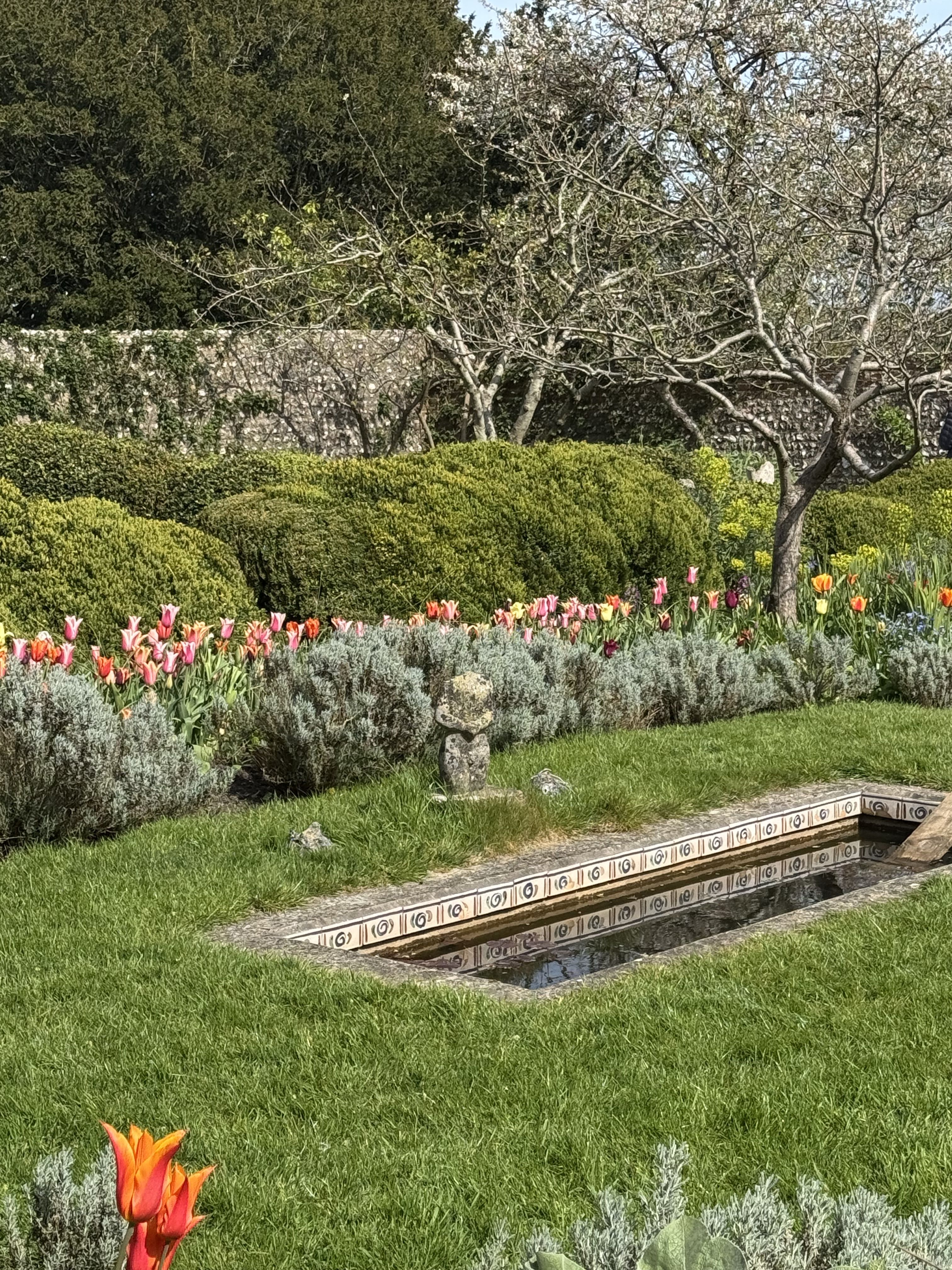 Sun-filled grounds of a countryside house, with in-bloom tulips and trailing plants.
