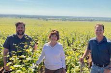 From Oregon to Burgundy vineyards: The Evenstad Estates team