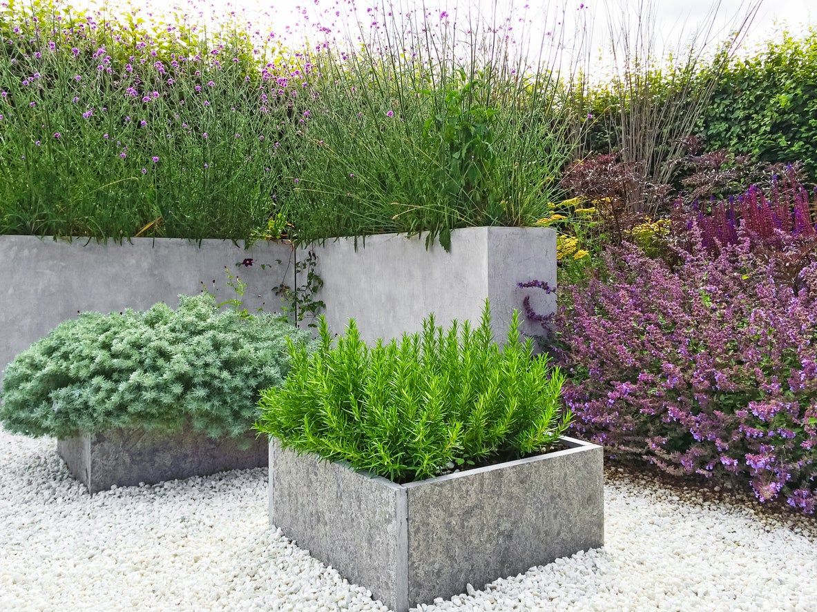 Contemporary Style Garden