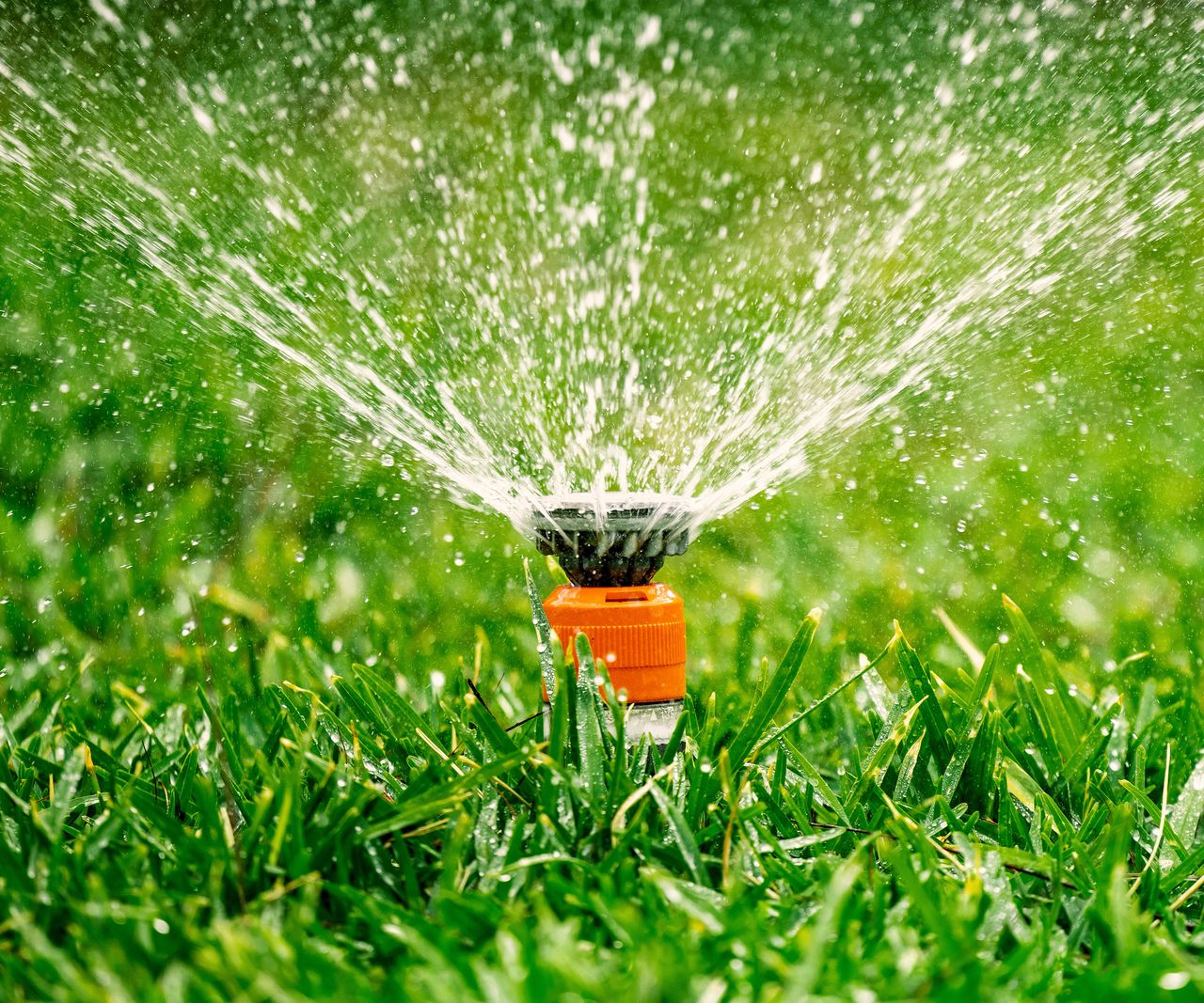 How long should you water your lawn for? Experts advise Homes & Gardens