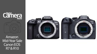 Canon EOS R7 and R10 bodies side by side