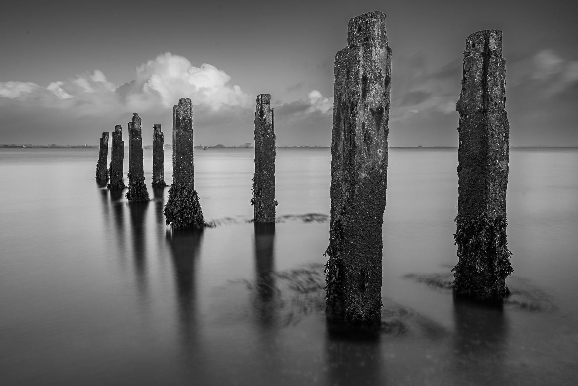 GuruShots - Powerful Black &amp;amp; White Jan 26