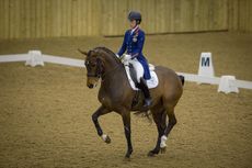 HARTPURY_GP_GBR_DUJARDIN_FREESTYLE-4186.jpg