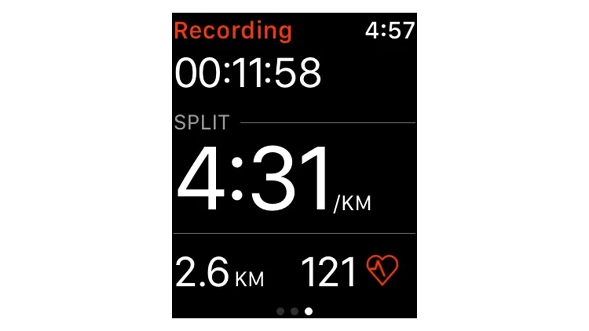 Strava screenshot on Apple Watch