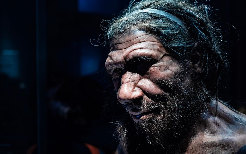 Climate Change Drove Some Neanderthals to Cannibalism | Live Science