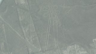 Aerial photo of Nazca lines in Peru. This geoglyph looks like a line drawing of a sunflower.