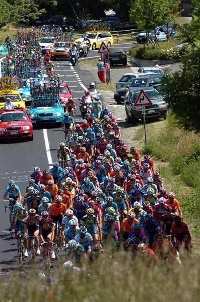 The peloton in stage 8.