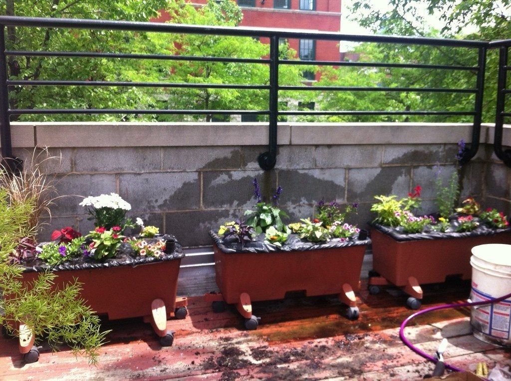 Planters Full Of Flowers