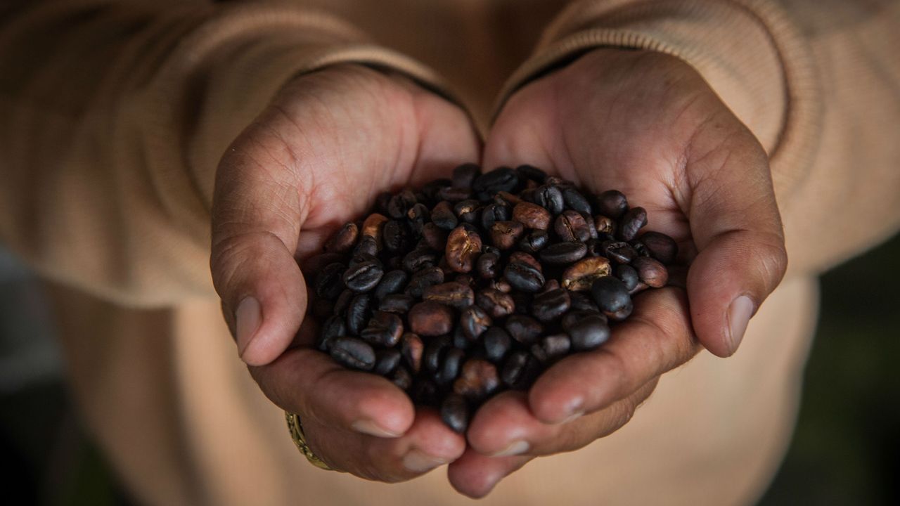 Coffee beans