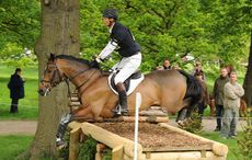 William Fox-Pitt Oslo