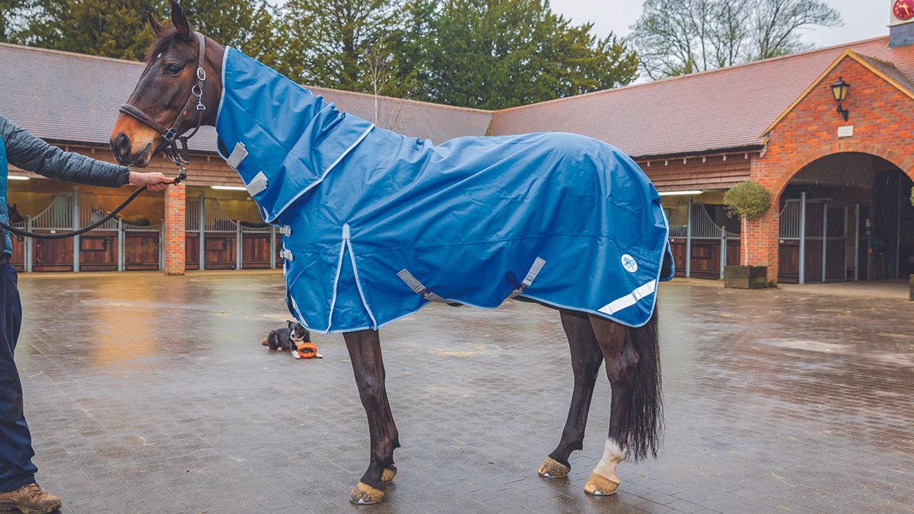 Swish Equestrian lightweight turnout review