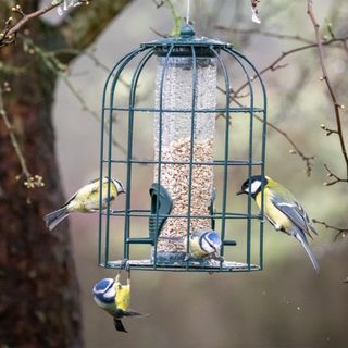 Squirrel safe bird feeder