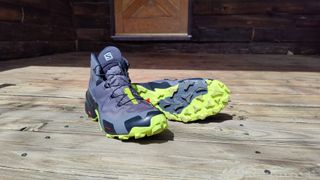 a photo of the Salomon walking boots