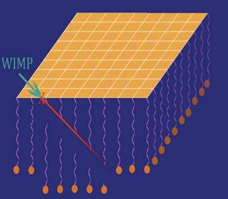 This image shows how a gold nucleus struck by a WIMP would fly through hanging strands of DNA and sever any that it hits. That path of destruction would allow physicists to calculate the direction of the incoming WIMP.