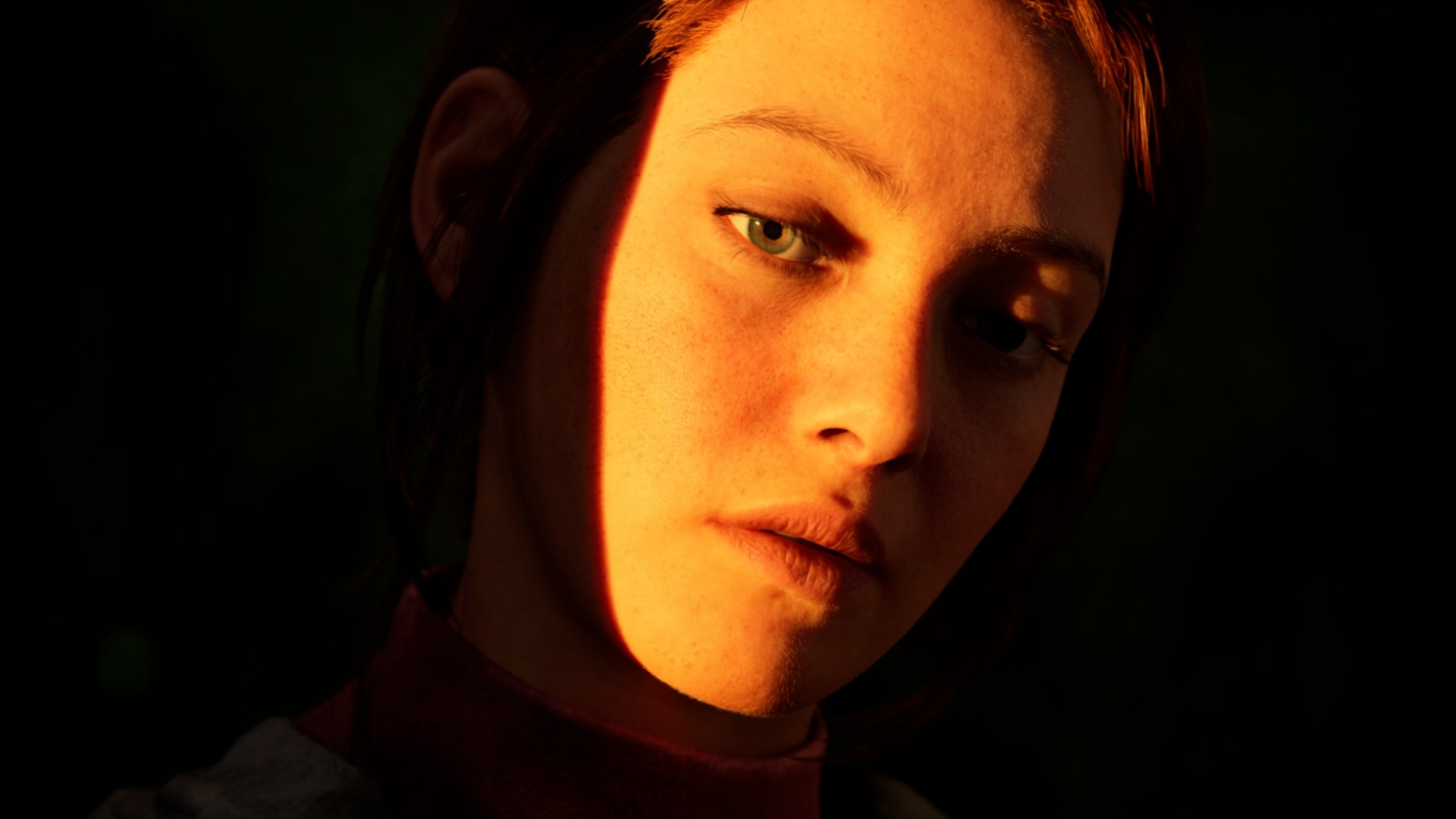 Hanna&#039;s face, half-lit by a sunset.