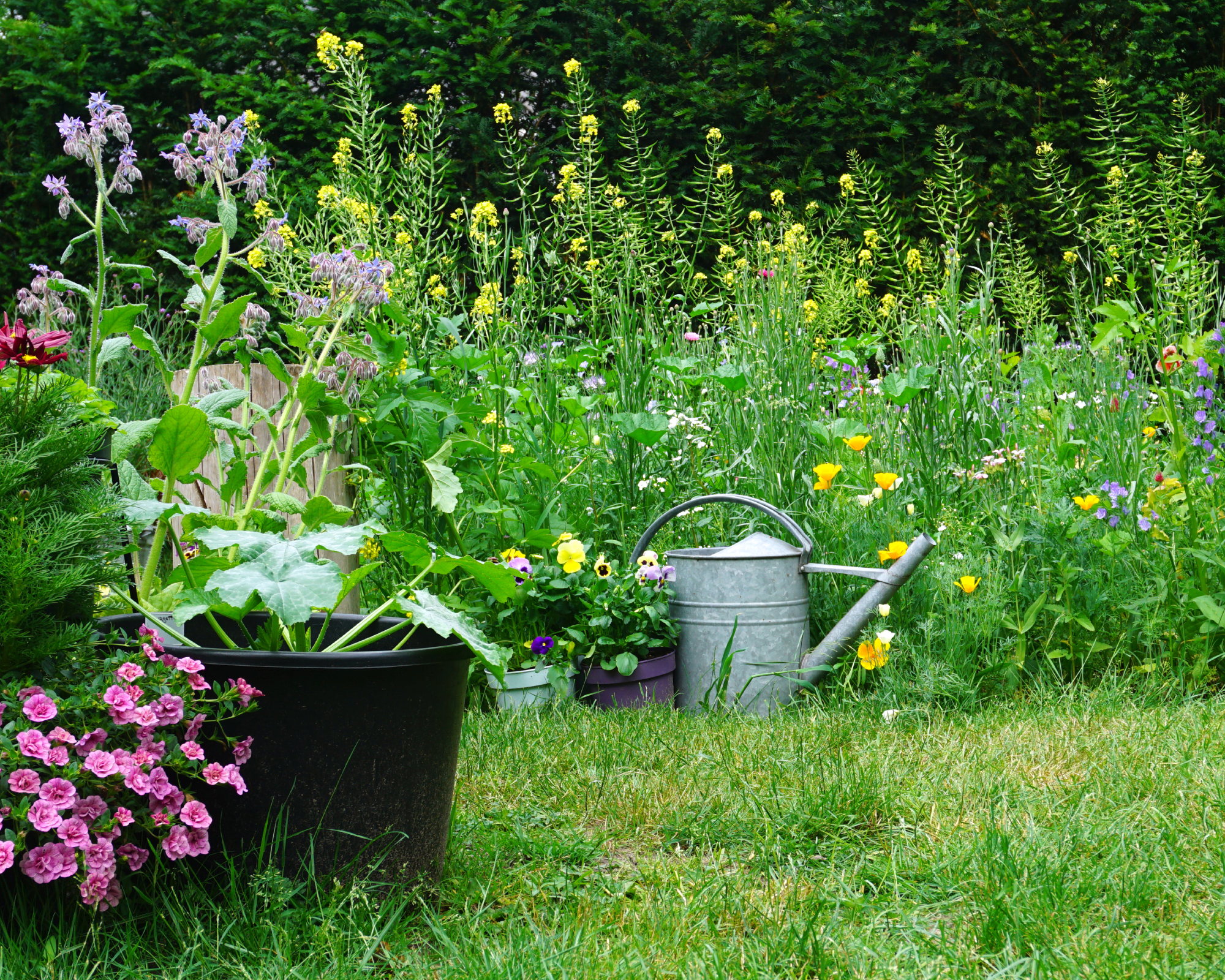 Watering can by flower garden