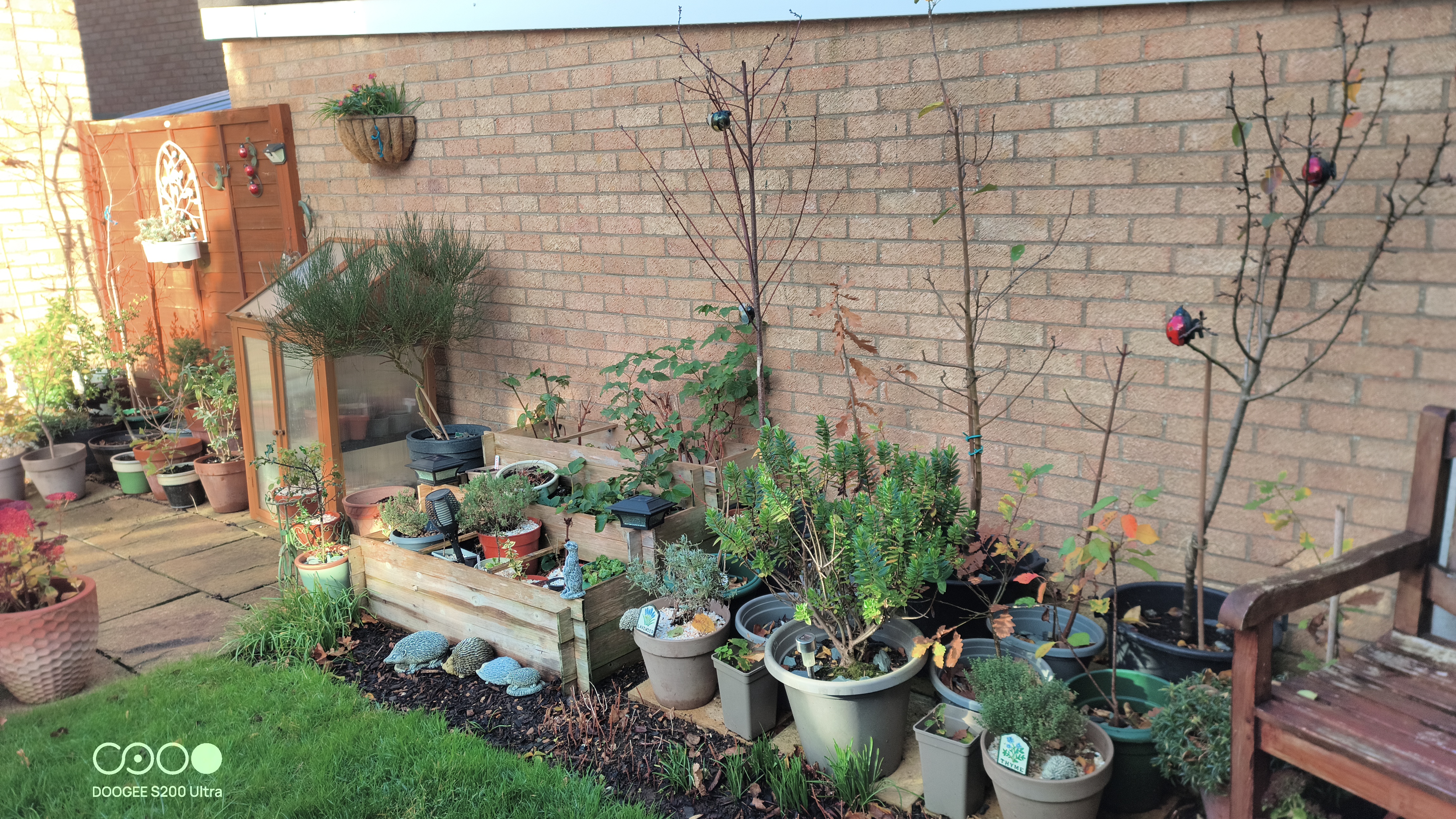 Doogee S200 Ultra Photo Examples