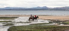 Equine Journeys: The British Horse World by Hossein Amirsadeghi