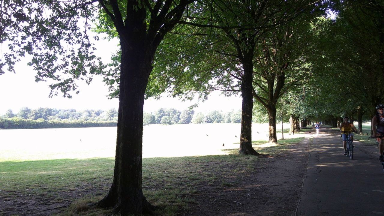 A photo of a cycle path next to a playing field