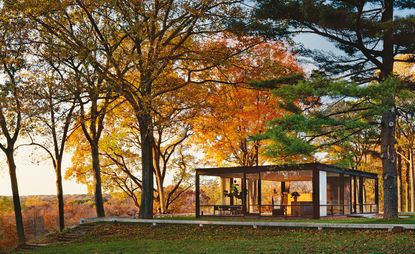 秋天树木环绕的玻璃房子