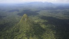 Aerial view of Cerro El Cono in the Peruvian Amazon rainforest. There are mountains in the background.