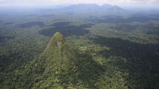 Aerial view of Cerro El Cono in the Peruvian Amazon rainforest. There are mountains in the background.