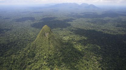 Aerial view of Cerro El Cono in the Peruvian Amazon rainforest. There are mountains in the background.
