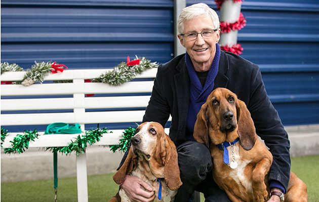 Paul O&#039; Grady: For The Love of Dogs at Christmas