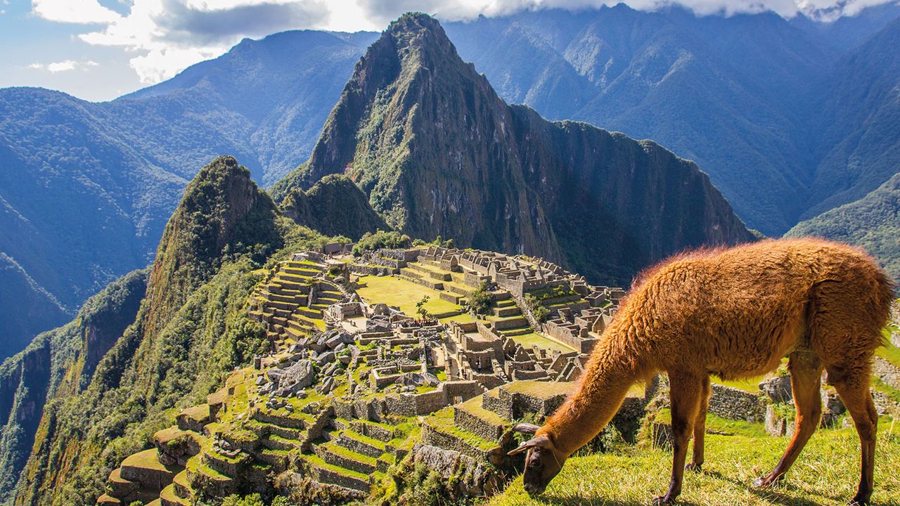 Machu Picchu