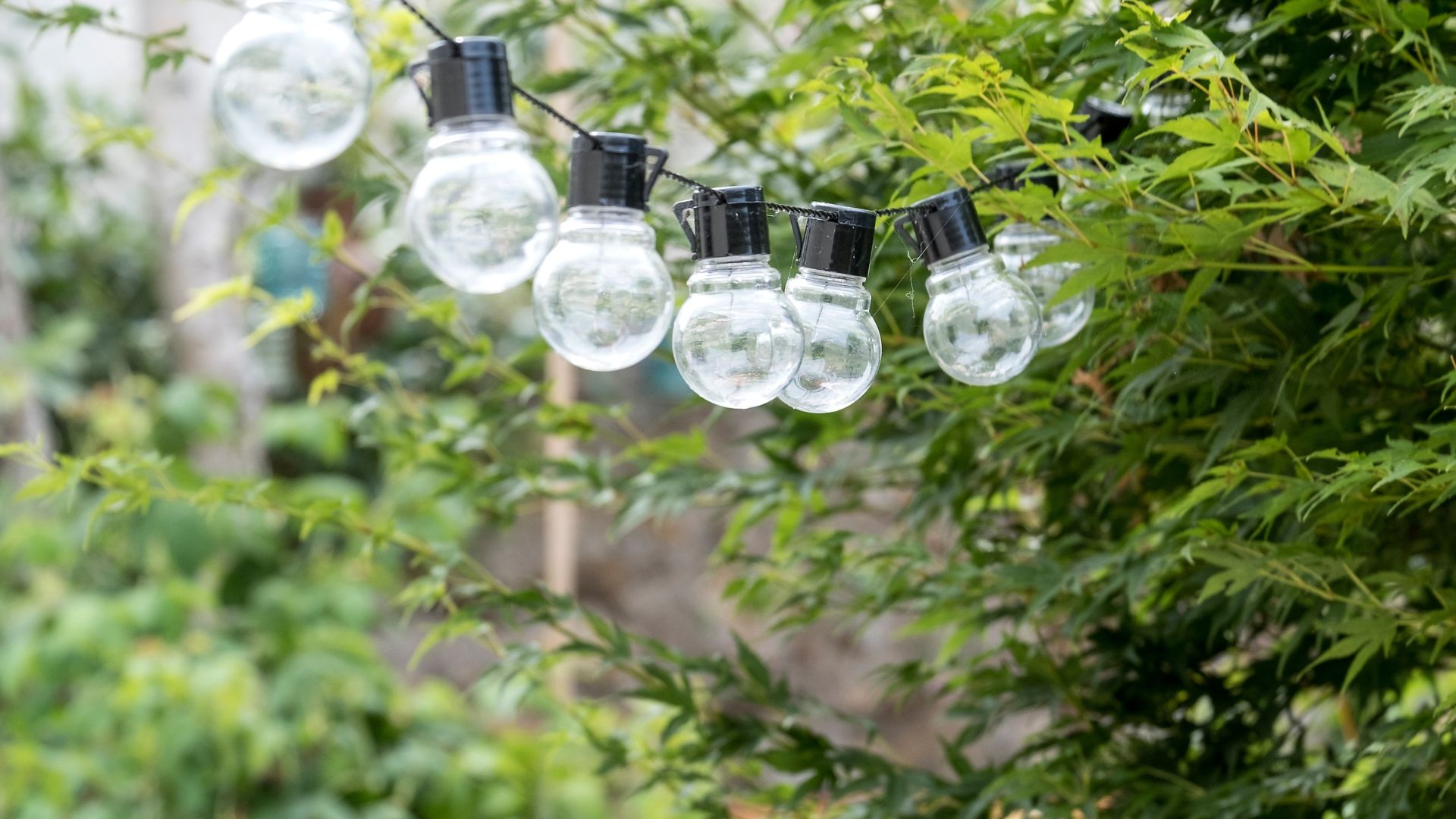picture of festoon lighting in garden