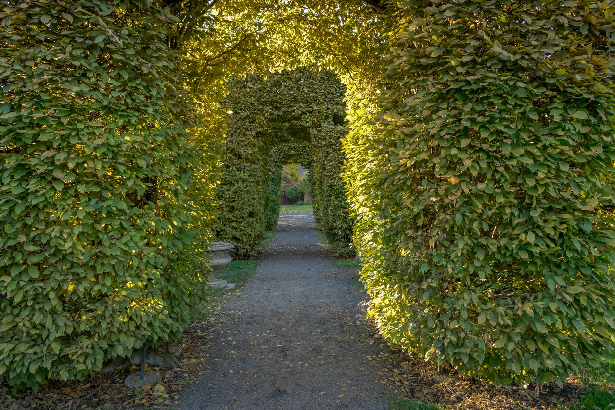 The Garden Labyrinth