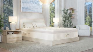 A Birch Elite Natural Mattress on a bed frame in a well lit bedroom