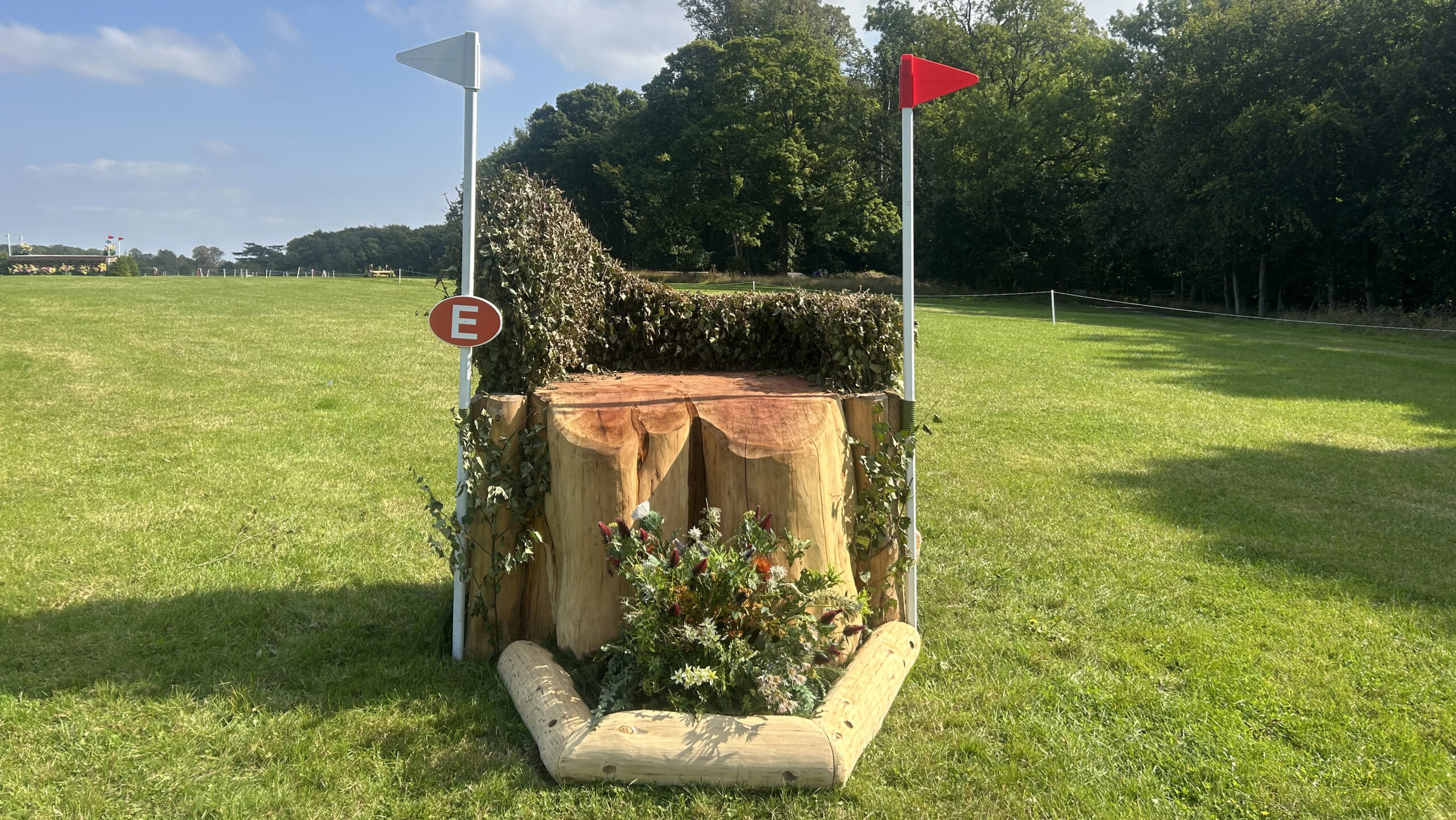 blenheim_horse_trials_fences_2024_IMG_6797-scaled.jpeg