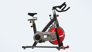 Sunny Health & Fitness Indoor Cycle Bike side-on