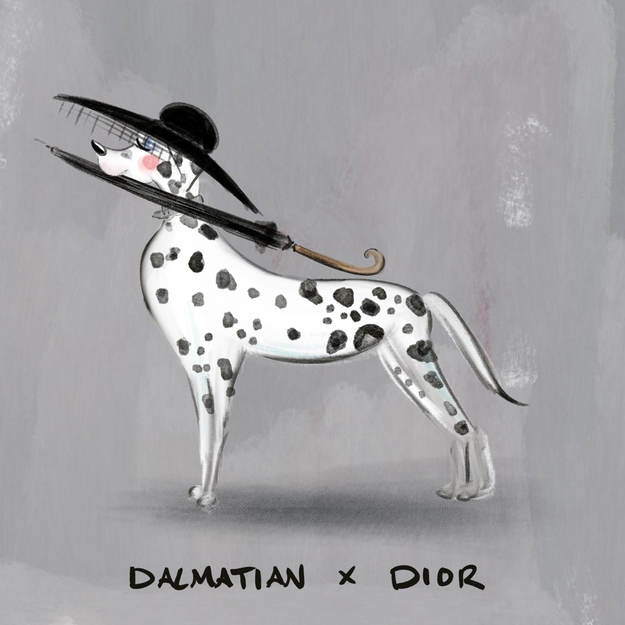 A series of twelve illustrated animals styled as luxury fashion designers: an Afghan hound in a slouchy blush Chlo&amp;eacute; coat; an Airedale Terrier in a navy Ralph Lauren sweater on a tartan blanket; a beagle carrying a classic Louis Vuitton handbag while wearing a monogrammed scarf; an English bulldog in a chunky cream Connolly jumper with green gloves beside it; a Birman cat in a pink Chanel jacket layered with pearls; a corgi standing proudly on an orange Herm&amp;egrave;s box with a silk scarf and pink Birkin-style bag; a long-haired dachshund in a soft cream Brunello Cucinelli cardigan; a Dalmatian posing in a dramatic Dior hat with a veil and a black umbrella; a fox red Labrador wearing a Burberry check headscarf; a poodle strutting in oversized Celine sunglasses and a gold medallion necklace; a Springer spaniel wrapped in an oversized green Barbour jacket beside wellington boots; and a Weimaraner in a sleek black Giorgio Armani turtleneck and dark sunglasses.