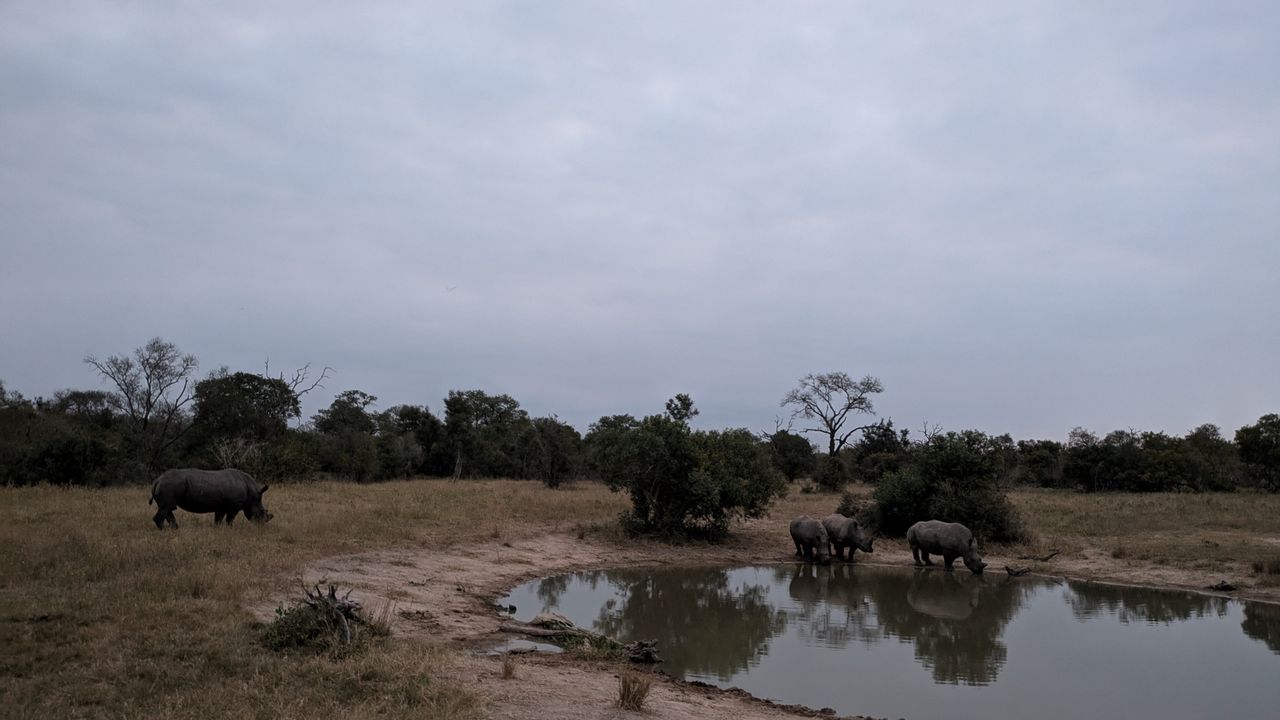 Google Pixel 8a review sample image