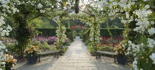 The Queen Mother's Rose Garden in Summer at RHS Garden Rosemoor.