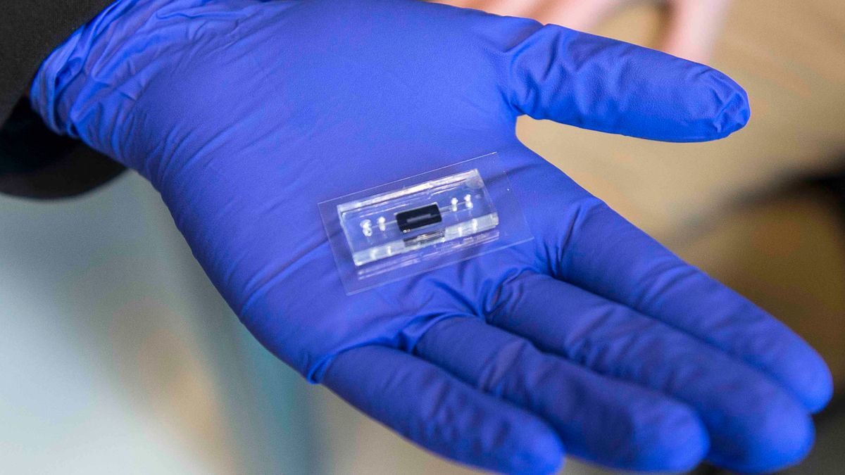 A shot of the microfluidic DNA &quot;lab-on-chip&quot; device developed by RIT.