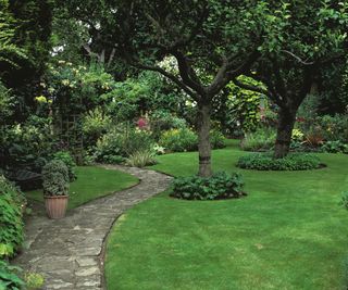 A lawn with a winding garden path and trees