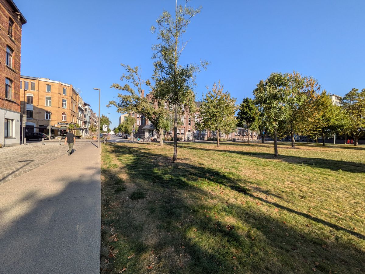 Google Pixel 10 voorbeeldfoto