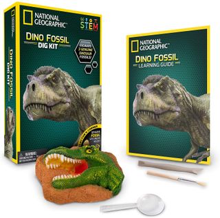 National Geographic dinosaur digging kit