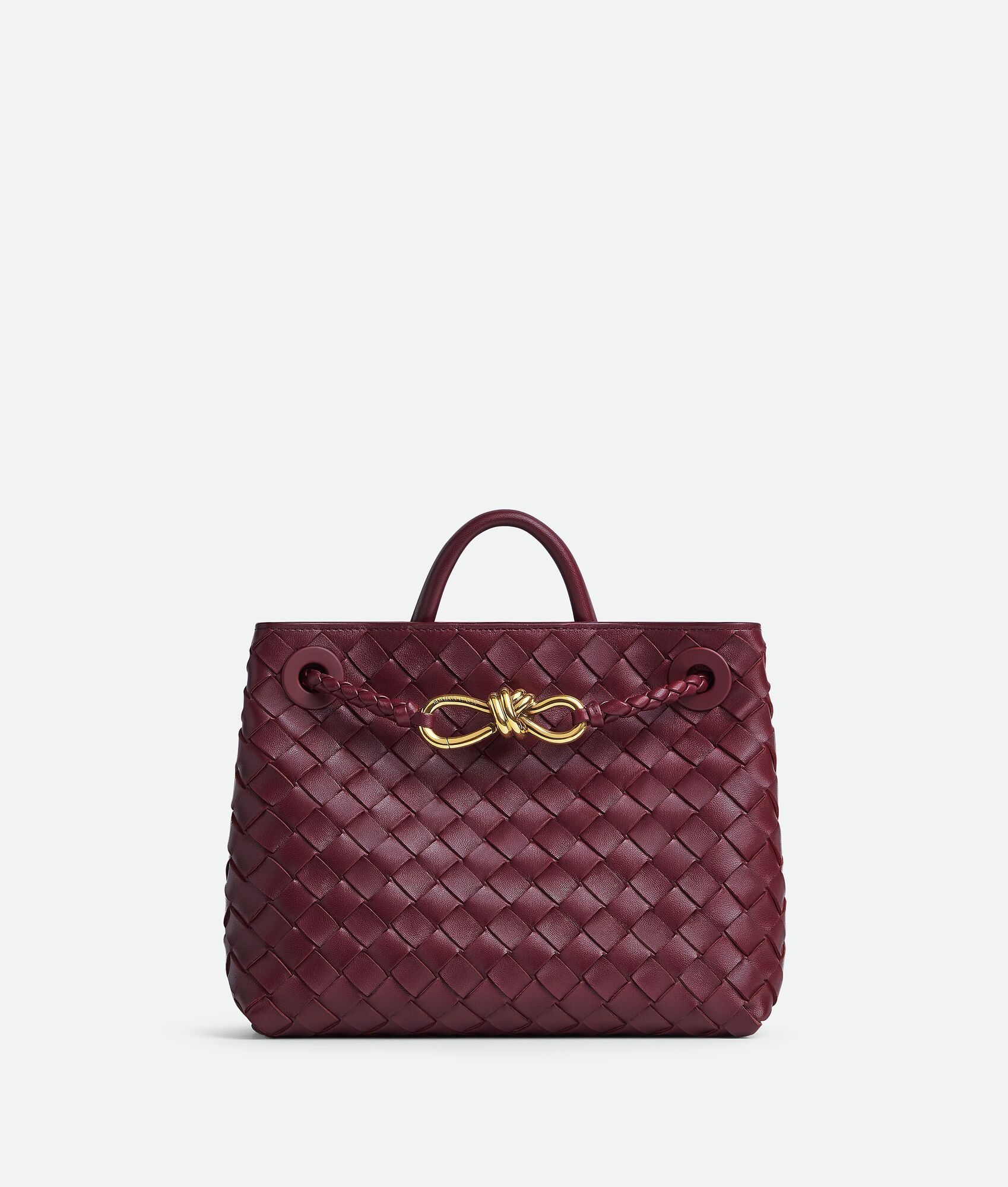 Bottega Veneta, Small Andiamo